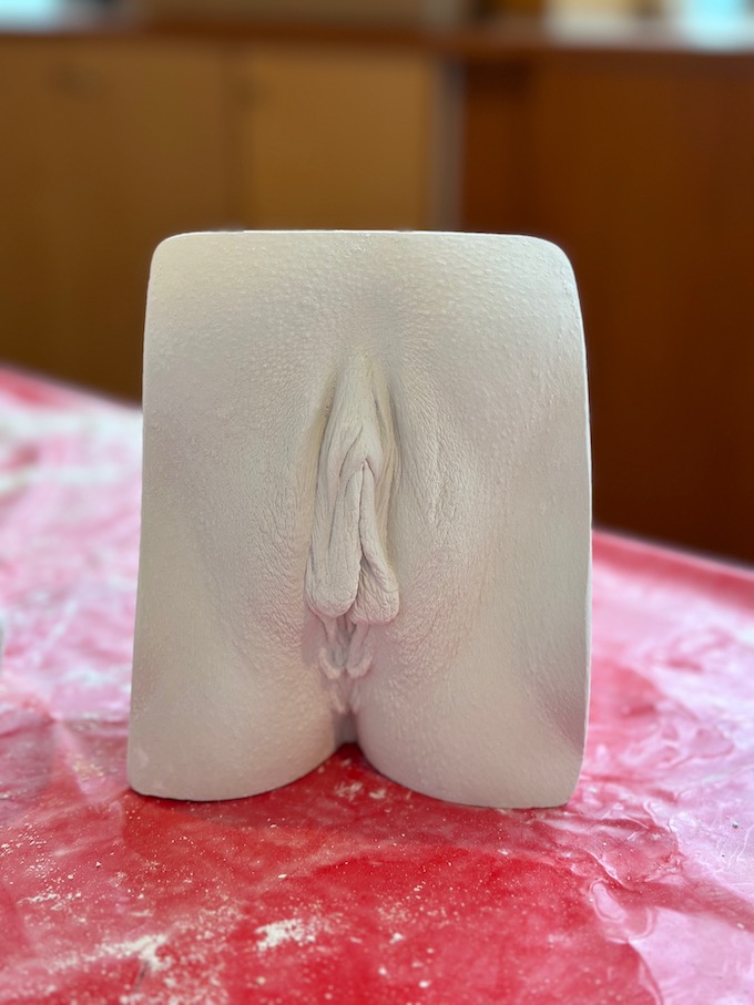 Vulva casting session
